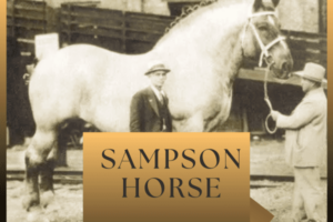 Sampson Horse: Largest Equine Legend of Its Time - Horse Wildlife